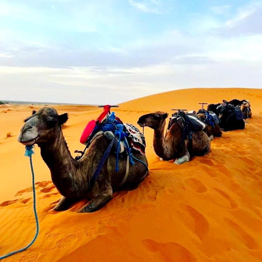 Hotel Bedouin Desert Camp Merzouga Exterior foto